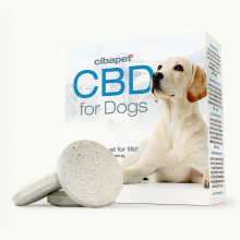 CBD-pastiller til hunde
