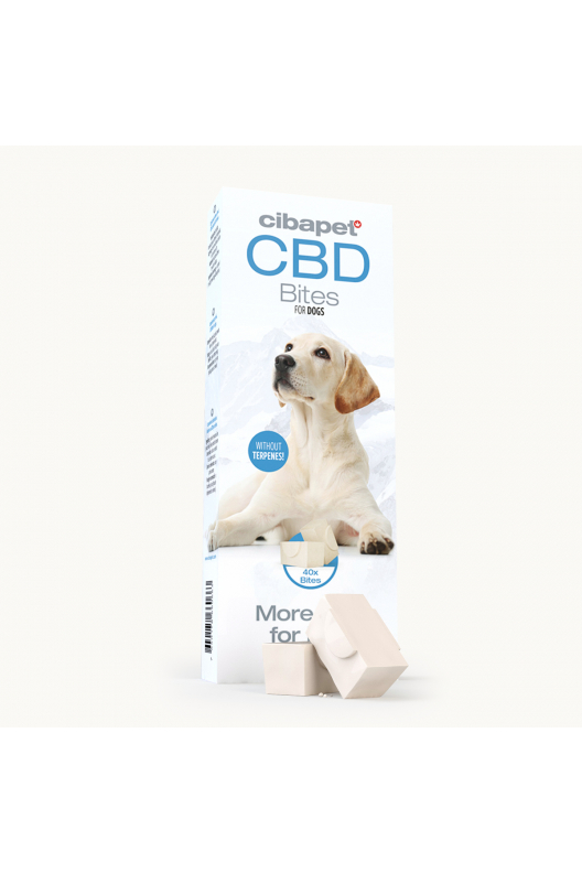 CBD-godbidder til hunde