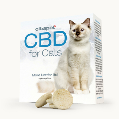 CBD-pastiller til katte