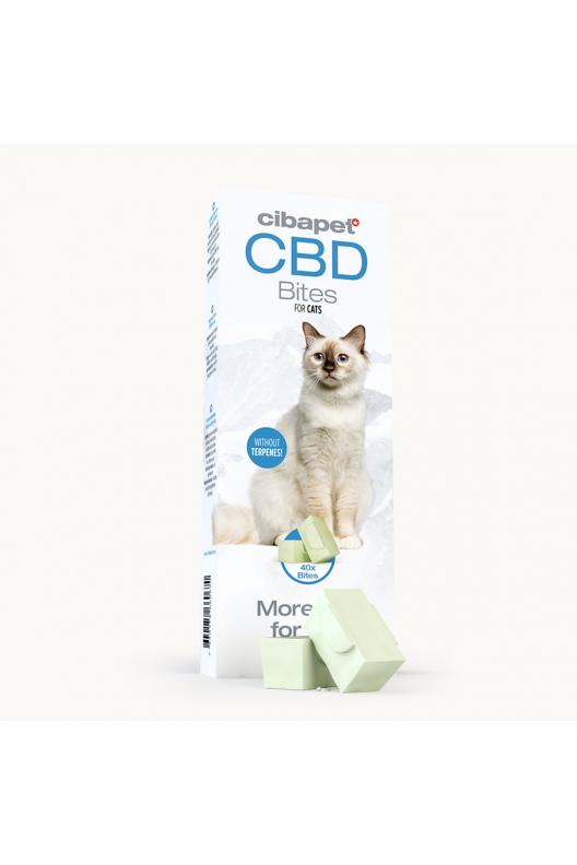 CBD-godbidder til katte