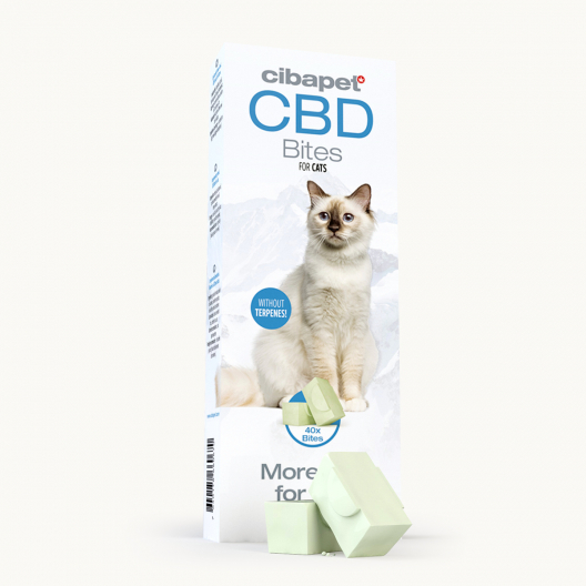 CBD-godbidder til katte