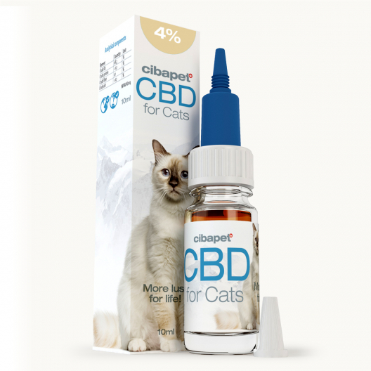 CBD-olie 4% til katte