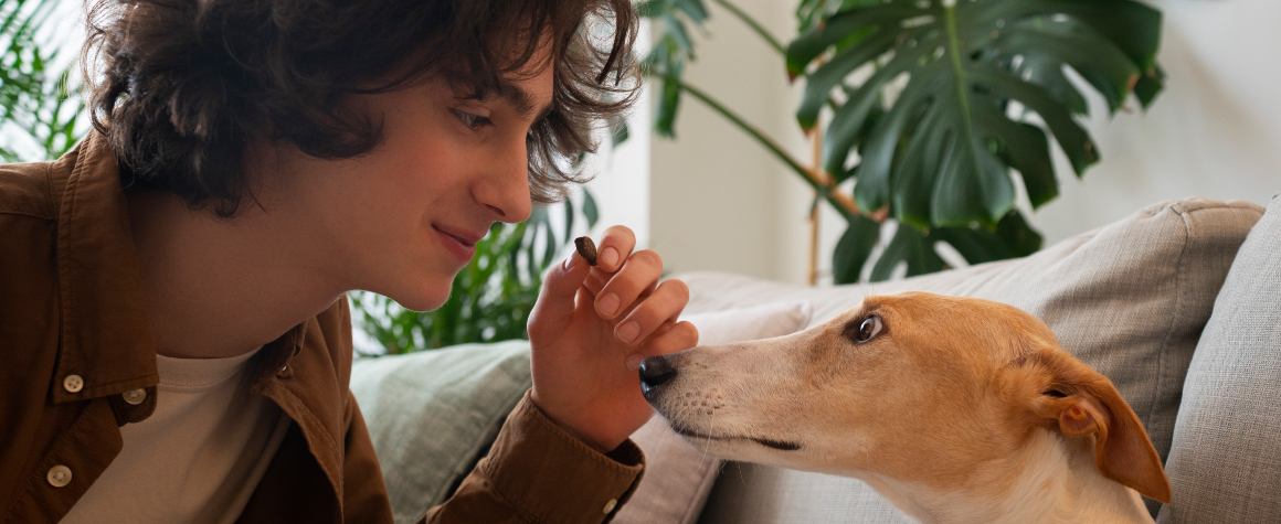 CBD-olie virker ikke på din hund