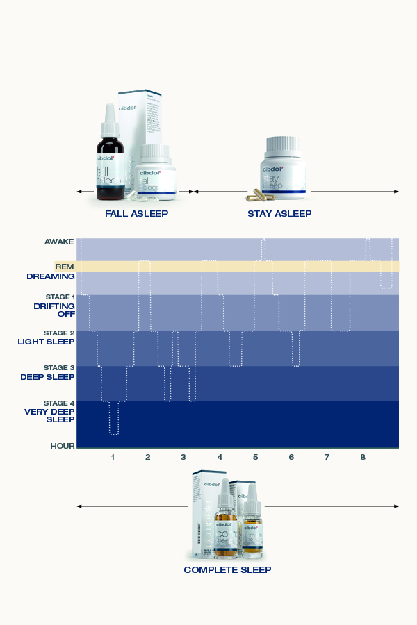 sleep stages infographic