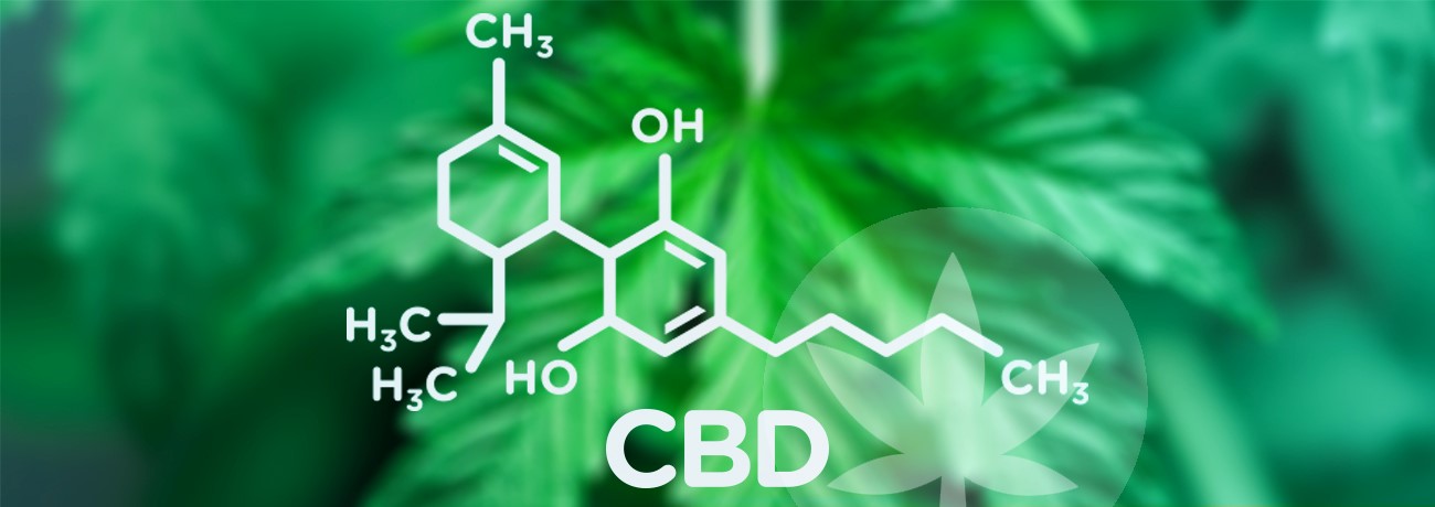 Billede af cannabis med molekylær formel af CBD