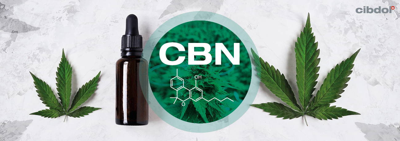 Hvad er CBN (cannabinol)?