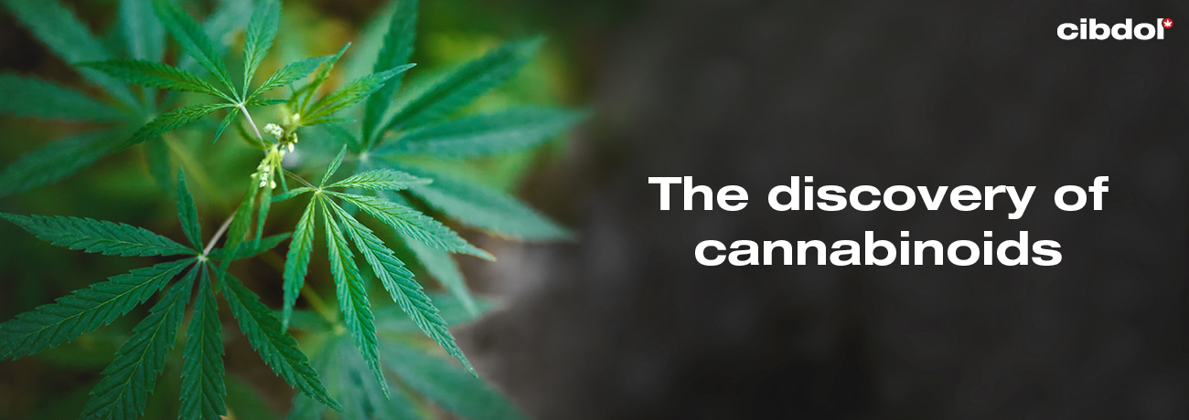 Hvornår blev cannabinoiderne opdaget?