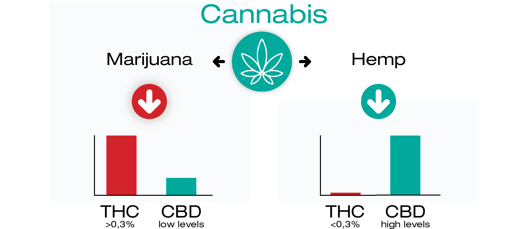 Hvor kommer CBD og THC fra?