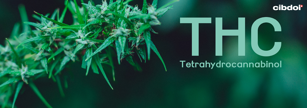 Juridisk status for THC vs CBD