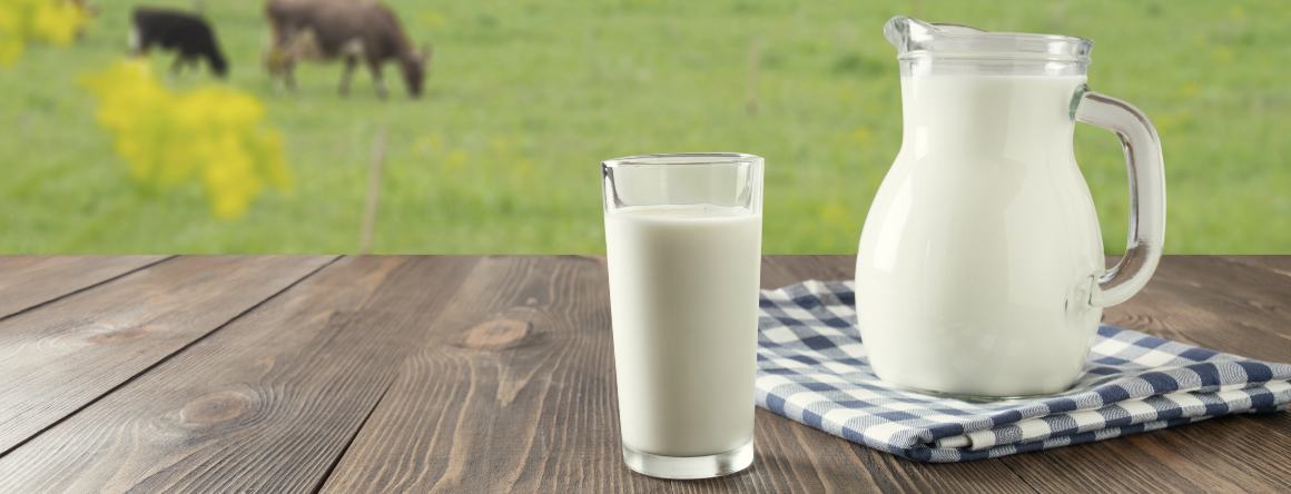 Indeholder mælk omega-3-fedtsyrer?