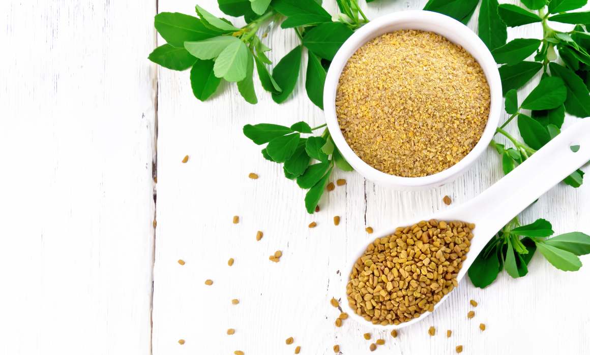 Fenugreek : Health Benefits and Therapeutic Uses 